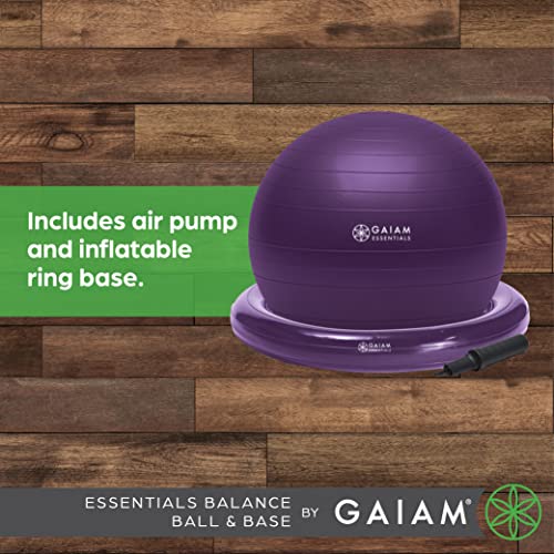 65cm Exercise Ball with Inflatable Ring Base A65410