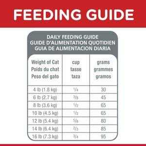 Adult Dry Cat Food B317419