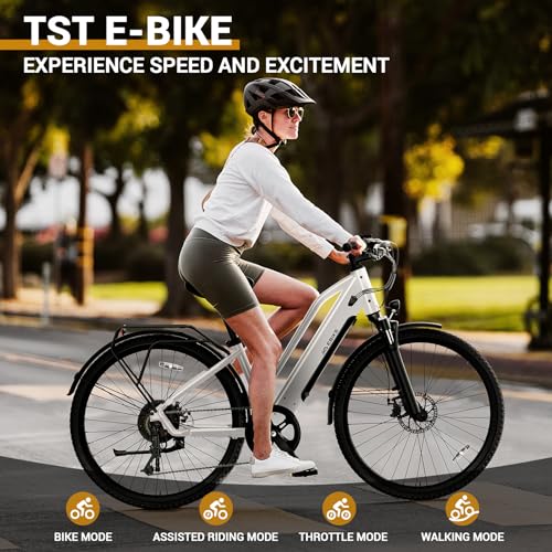 26" Tire Electric Bicycle with 360Wh Removable Battery H46559