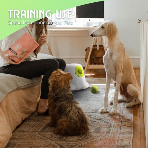 Automatic Ball Launcher for Dogs, includes 3pcs Tennis Balls O1601