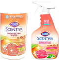 Tahitian Grapefruit Splash Disinfecting Multi-Surface Cleaner Spray & Disinfecting Wipes L423662