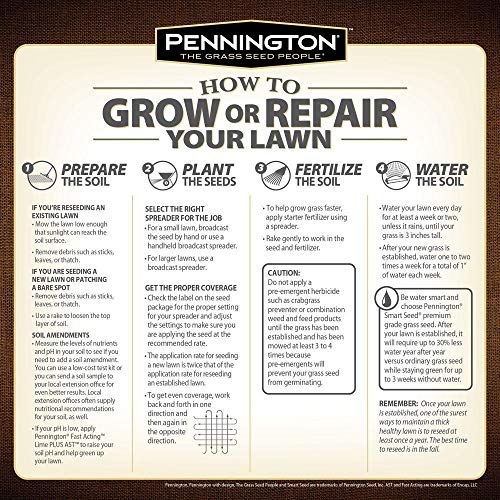 Annual Ryegrass, 10 lb S2828