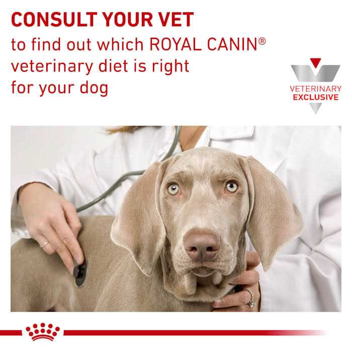 13.7 oz Veterinary Diet Canine Hydrolyzed Protein Adult Dog Loaf in Sauce Food G76790