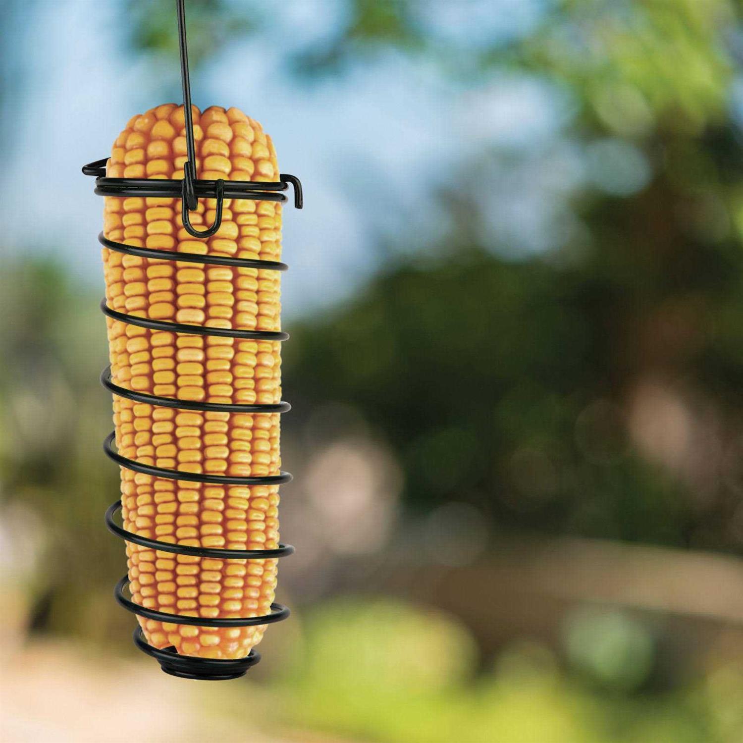 Whole Ear Corn Squirrel and Critter Feed S5079