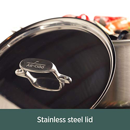 5-Ply Brushed Stainless Steel Stockpot 8 Quart C849