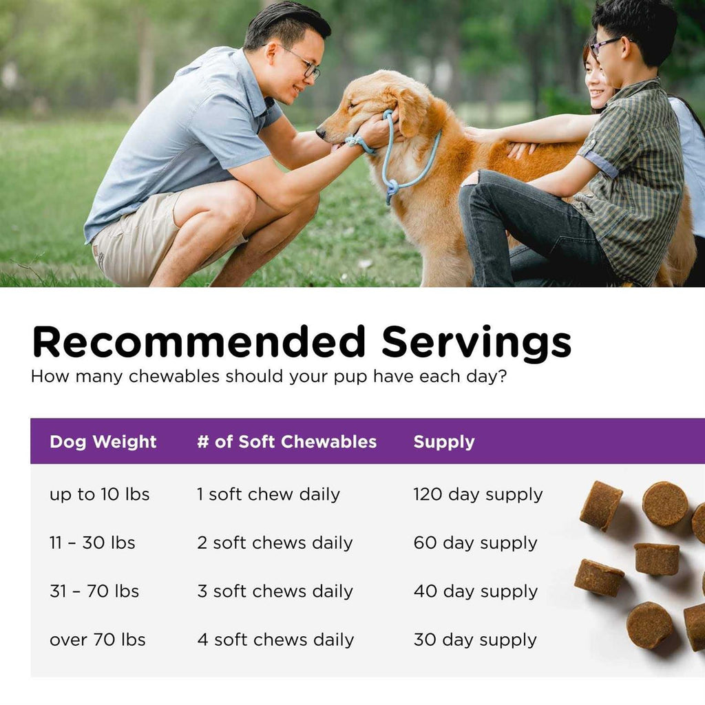 Pre and Probiotic Soft Chews for Dogs S5009