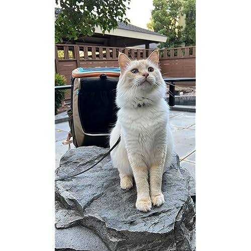 Convertible Cat Backpack X1085