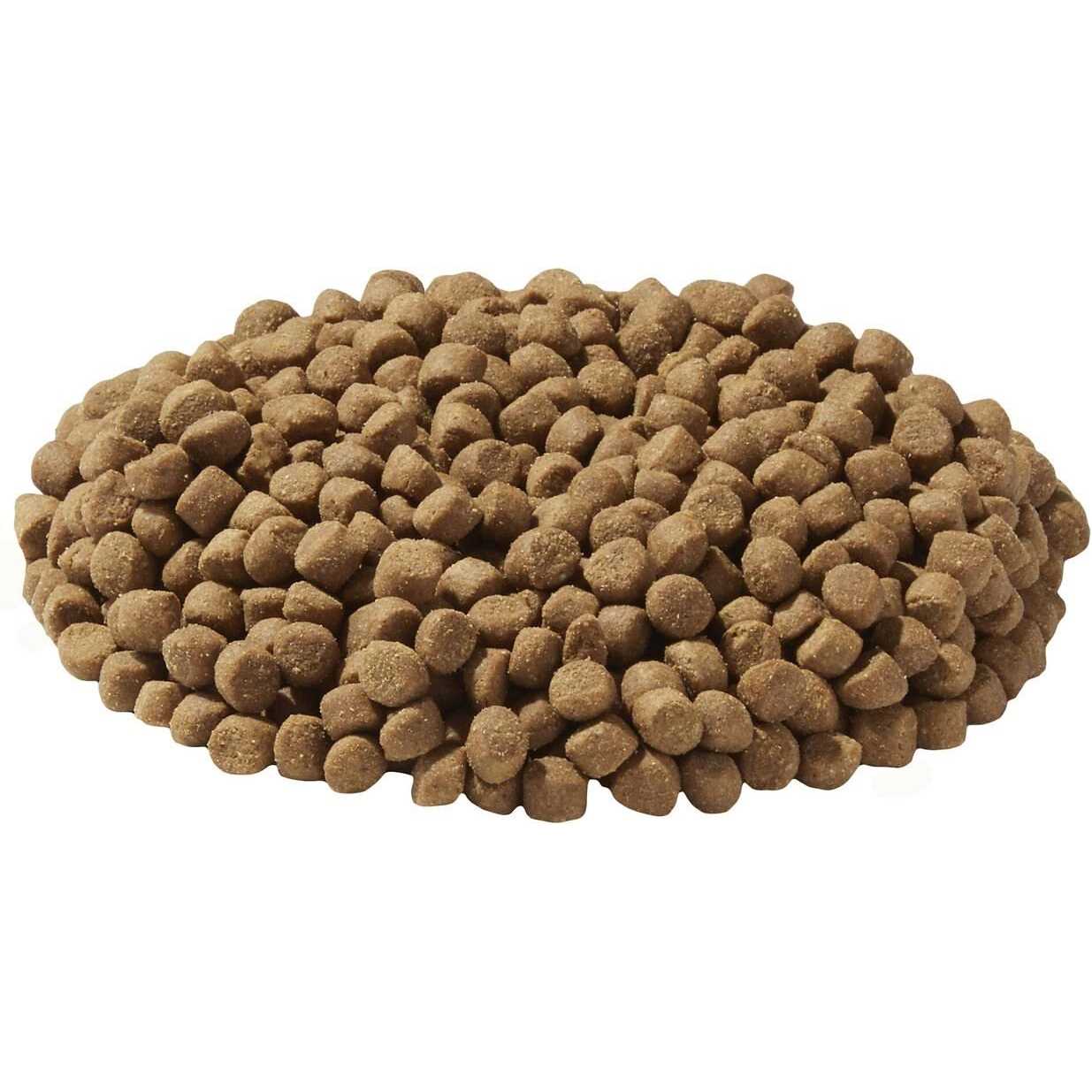 Dry Dog/Cat Food Y3124