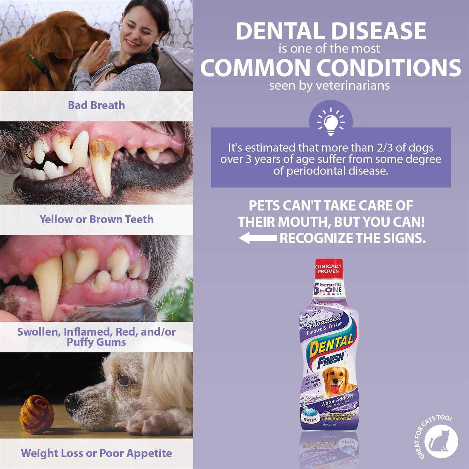 Dental Fresh Advanced Plaque & Tartar Water Additive for Dogs V6568