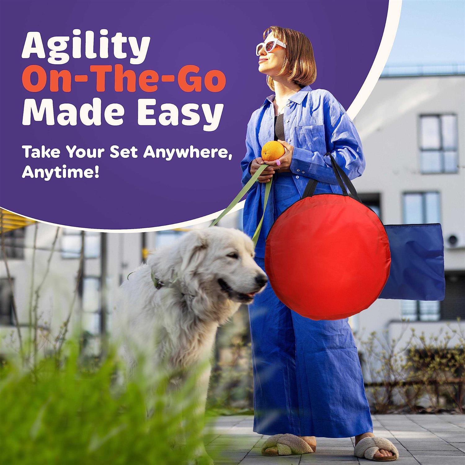 15 Piece Dog Agility Training Equipment Set K75541