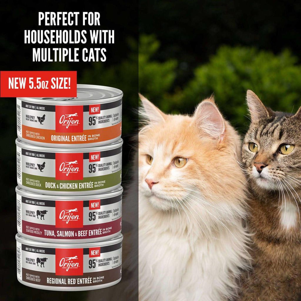 Entree in Bone Broth Wet Cat Food Y563