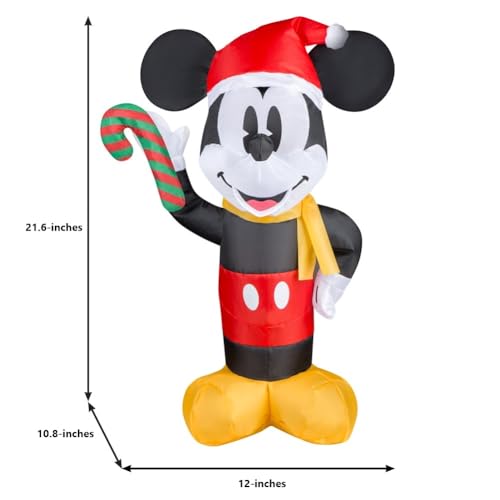 22-inch Tabletop Inflatable Q316