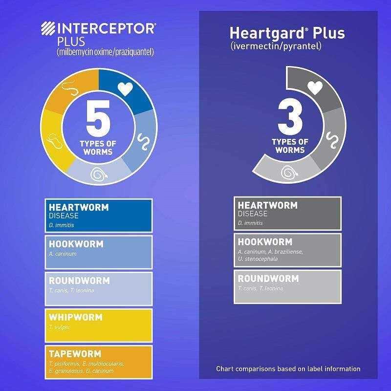 Interceptor Plus for Dogs I697