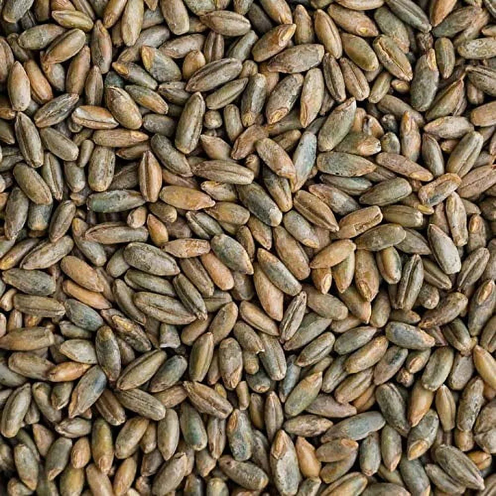 Certified Organic Rye Berries 5 Lbs Whole Wheat Grain K254287