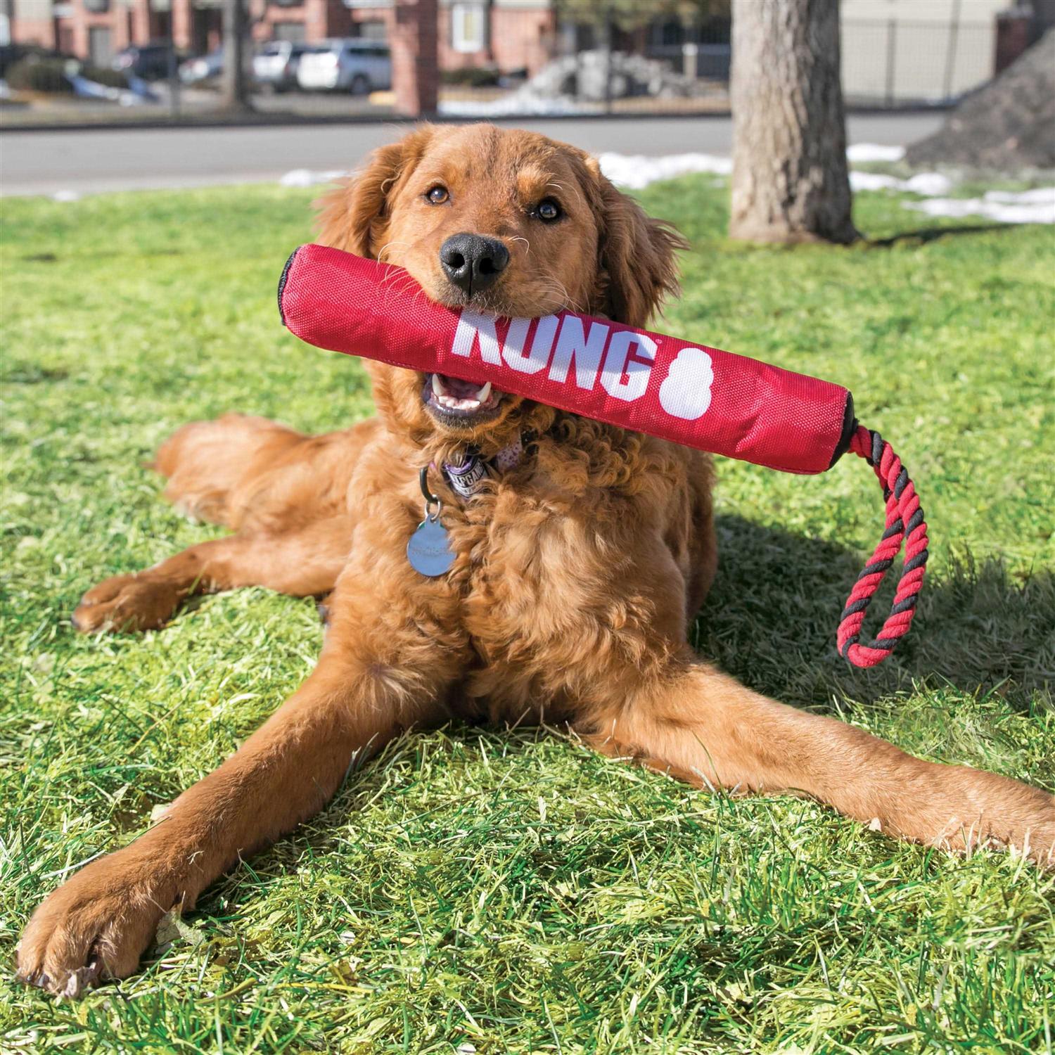 Signature Stick Dog Toy U521874