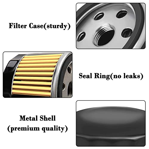 2 Pack Oil Filter P47407