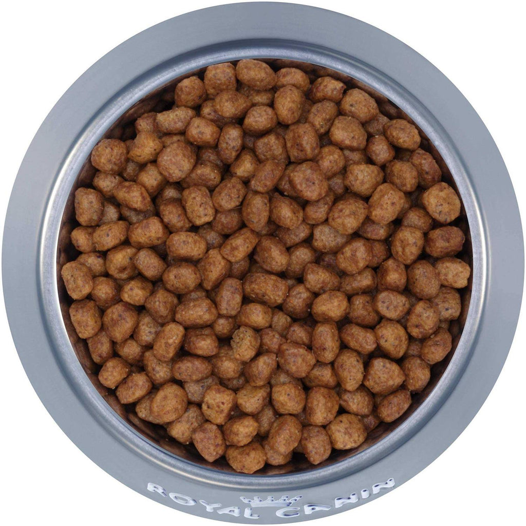 Chihuahua Adult Dry Dog Food L839308