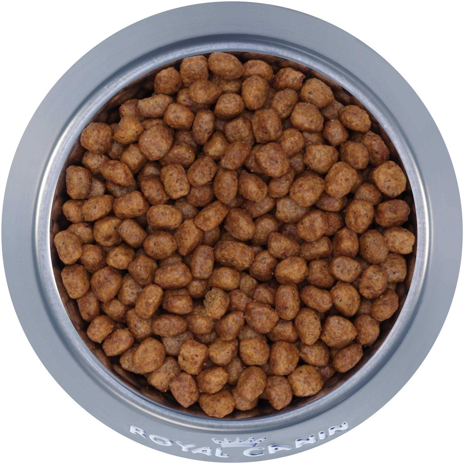 Chihuahua Adult Dry Dog Food L839308