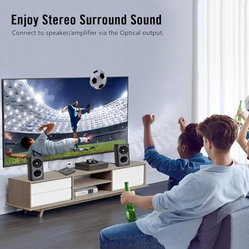4K Ultra HD Digital Media Player with HDMI Output F288