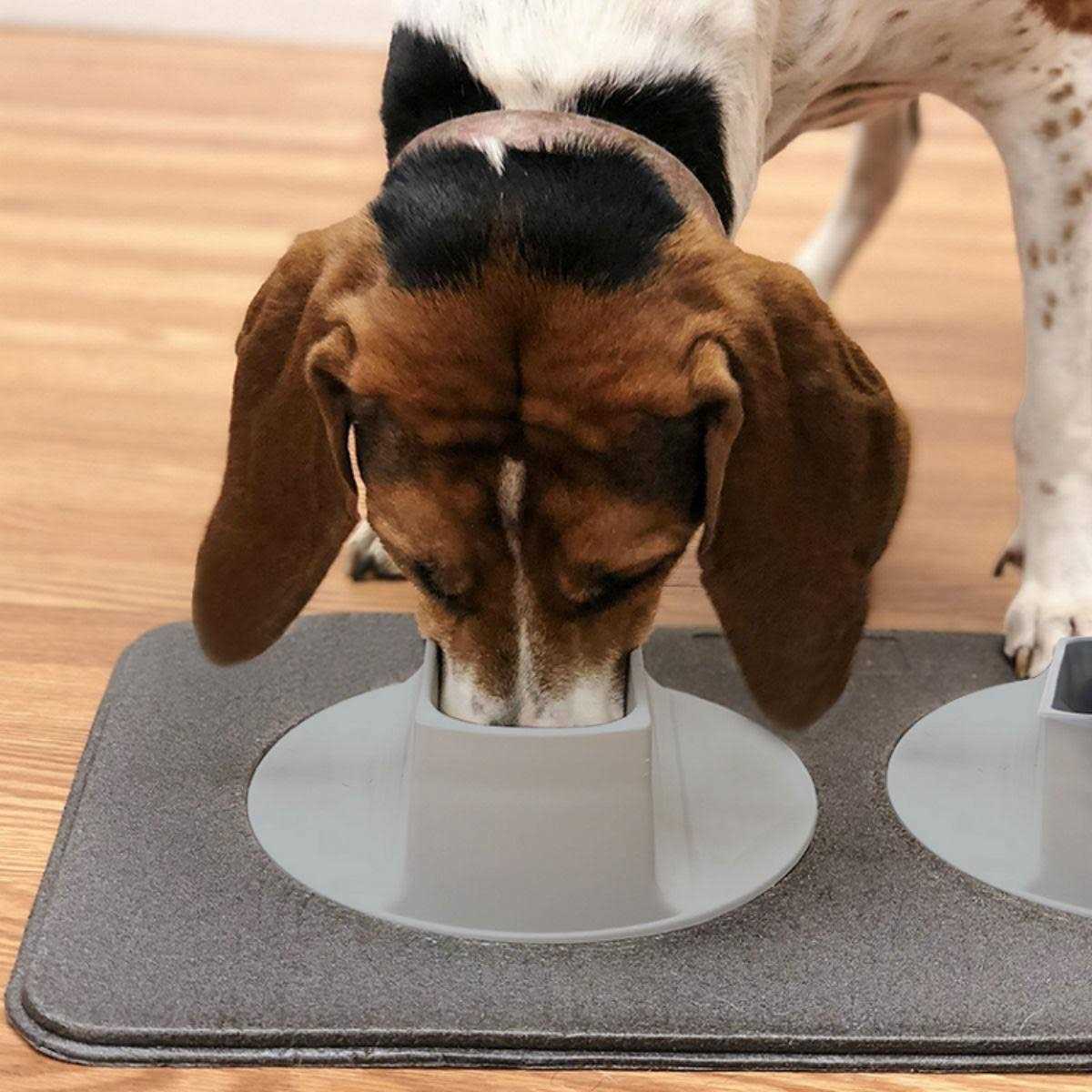 Pet Feeding Station U9084