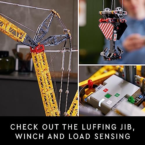 LEGO Technic Crawler Crane Advanced Building Kit K549459