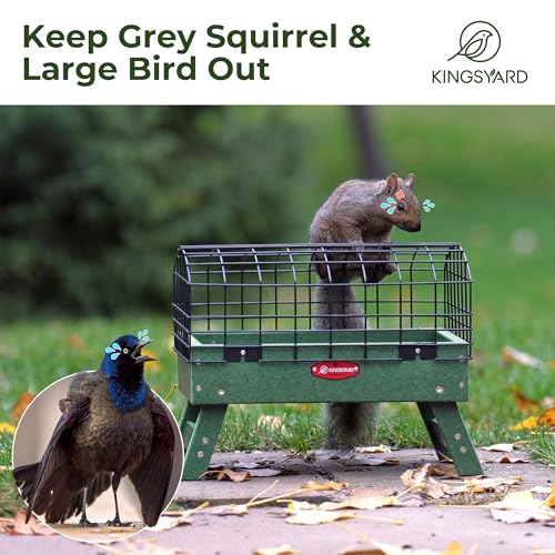 Blue Recycled Plastic Platform Bird Feeder, 5 LBS Large Capacity J70839