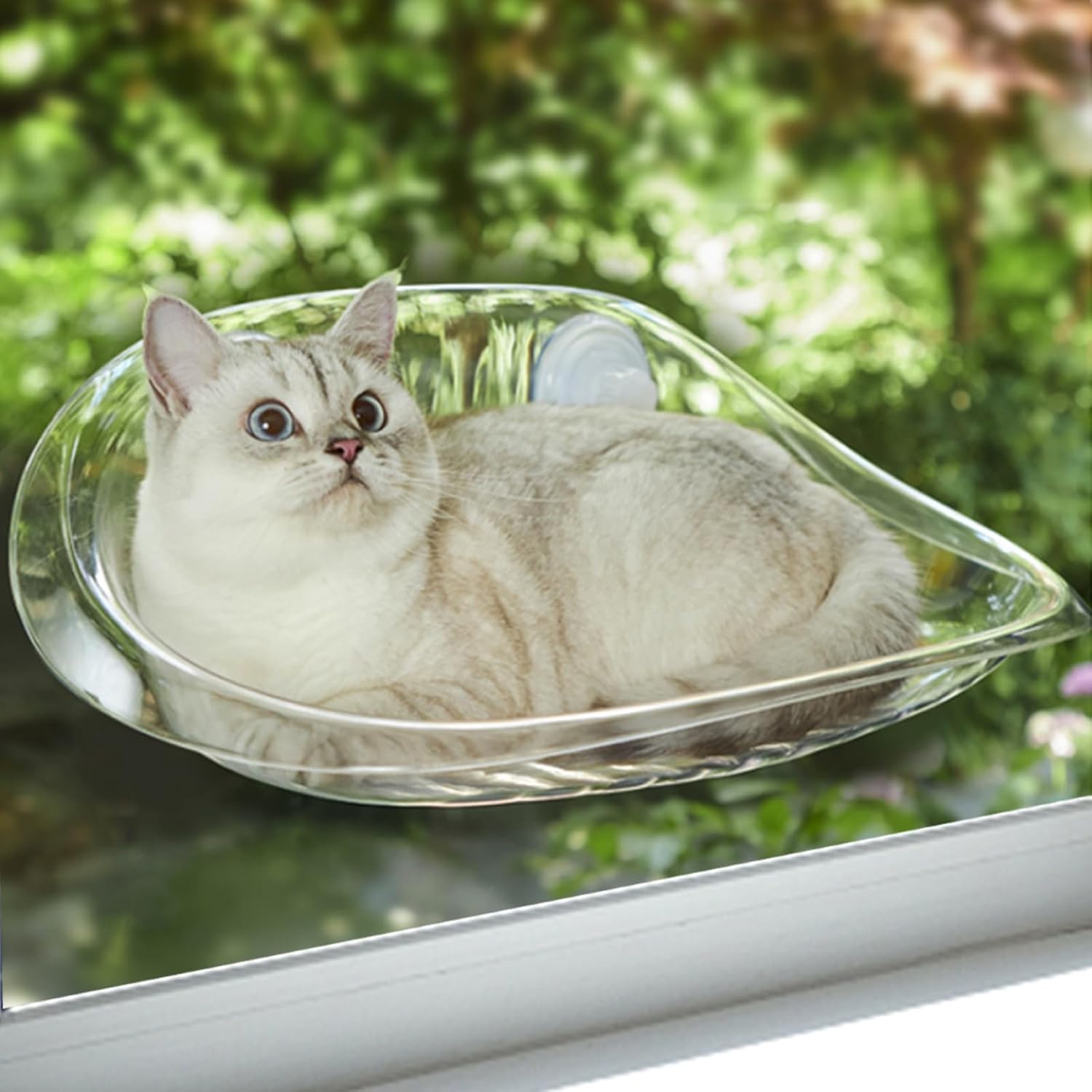 Cat Window Perch X276573