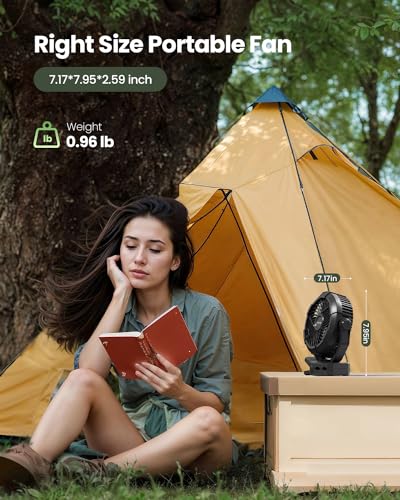 Camping Fan with LED Lights D77326