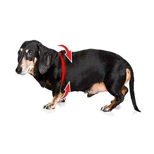 Pebble Grain Buddy Harness O682624