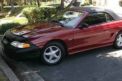 All Weather Car Bra A589
