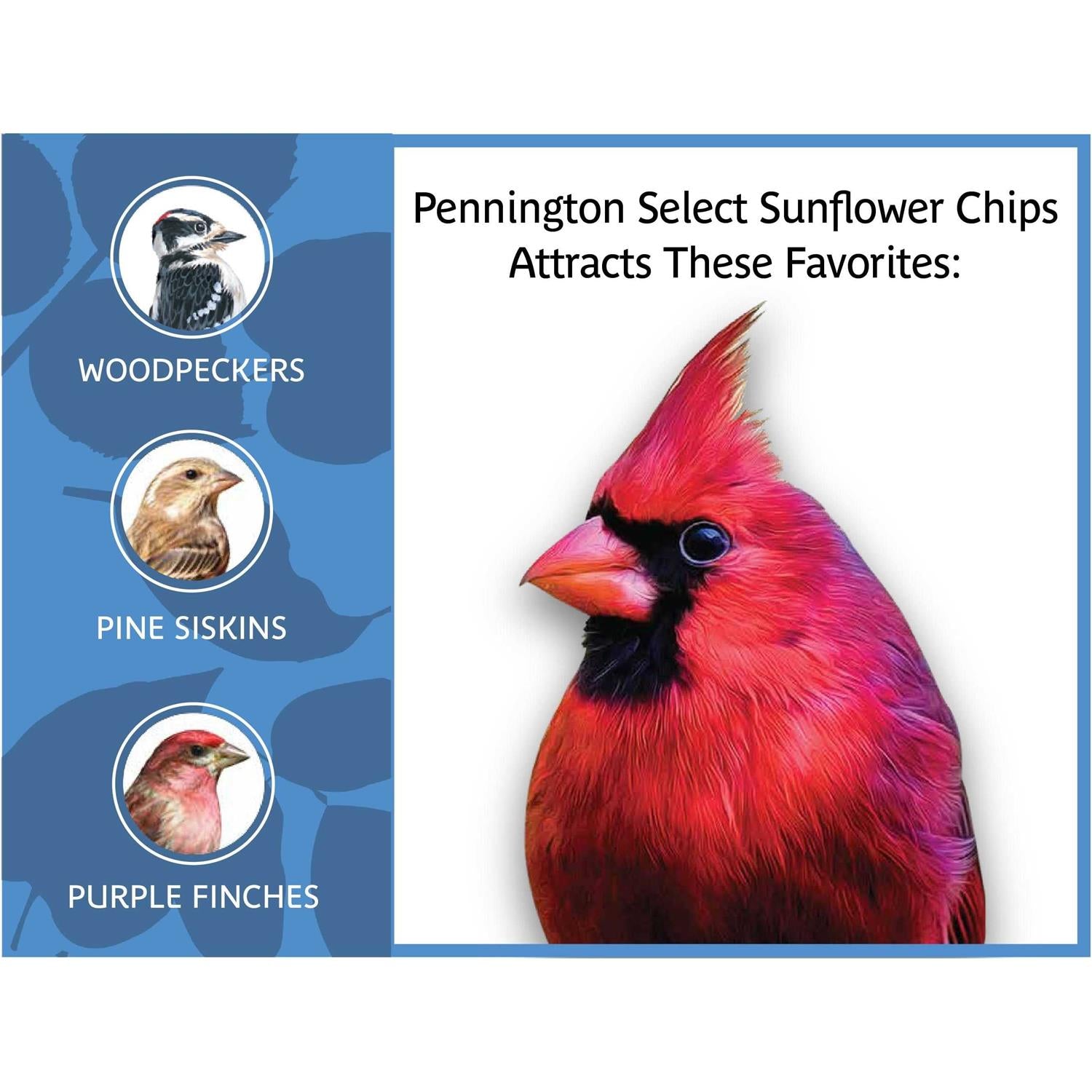 Sunflower Chips Dry Wild Bird Food Seed C297134