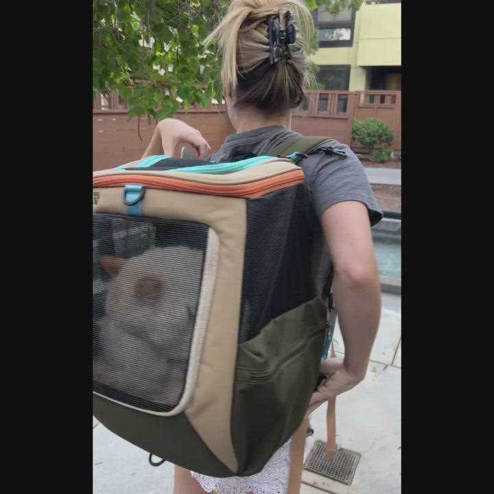 Convertible Cat Backpack X1085