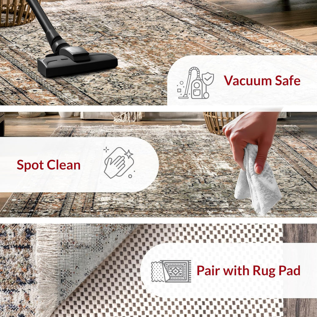 Charvi 12' x 16' Power Loomed Area Rug B925