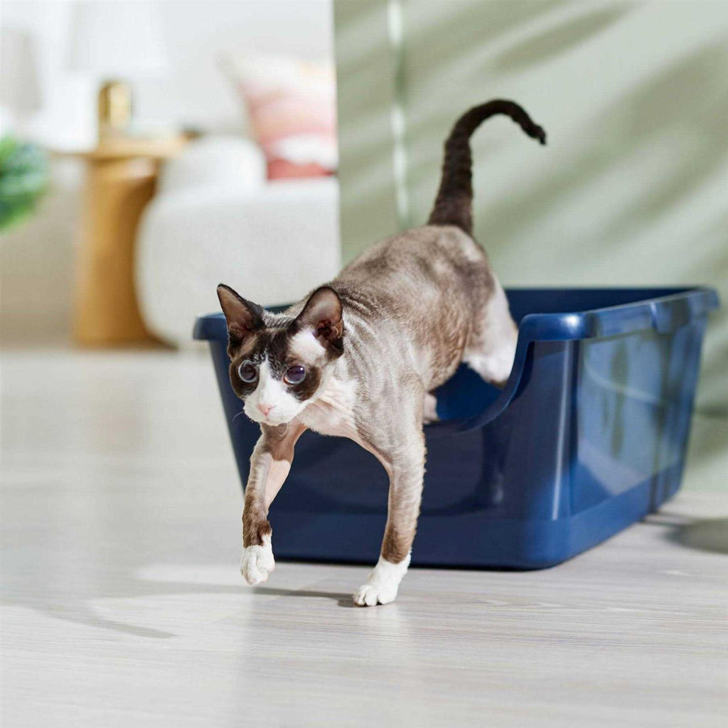 High Sided Cat Litter Box I442302