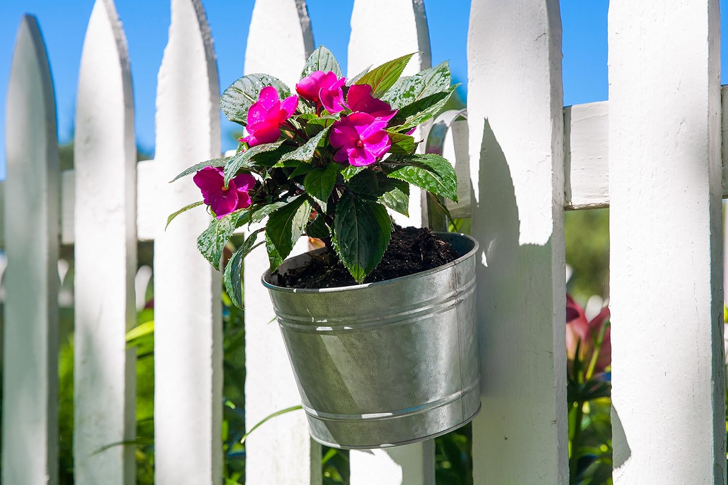 8 inch Over-The-Rail Planter, Aged Galvanized Finish W334136