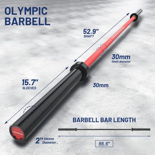 40LB 7ft Olympic Barbell with Hard Chrome Sleeves for 2 Inch Plates L39984