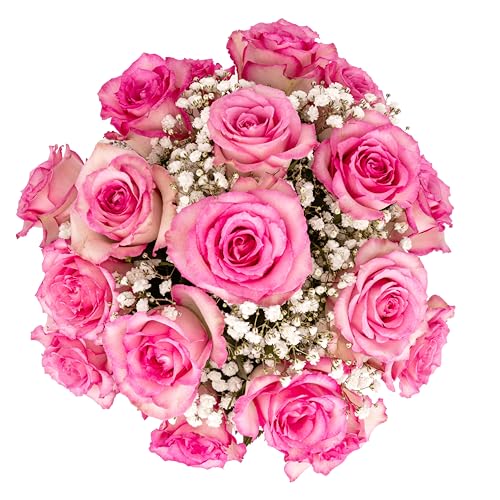 Pink Roses and Baby's Breath Fresh Flowers Bouquet with Vase H829