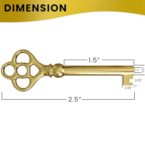 Hollow Barrel Brass Plated Skeleton Key (Pack of 1) Z75830