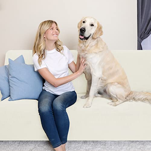 Ivory Stretch Couch Cover Set 1 Piece Sofa Slipcover with Cushion Cover for 2 Cushion Loveseat C216