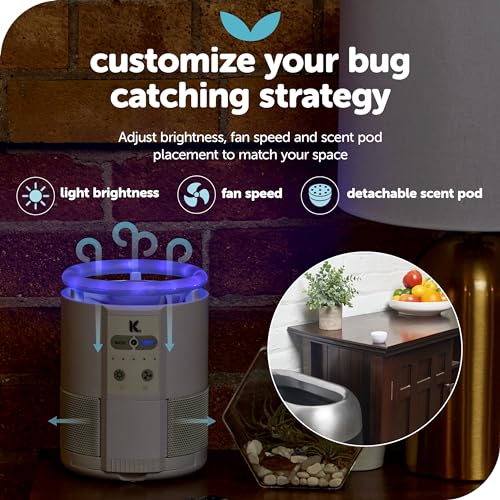 Indoor Insect Trap with UV Light (Black) H6046