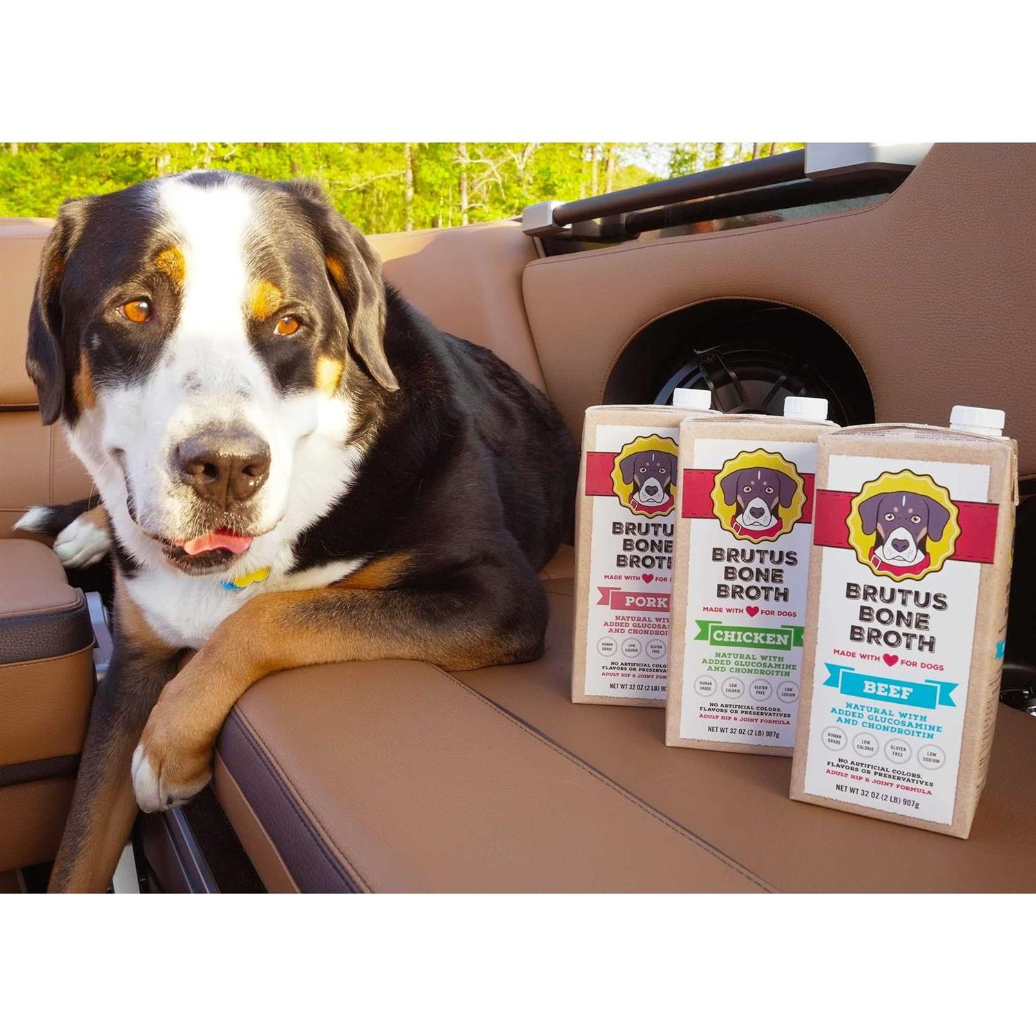 Chicken Bone Broth for Dogs W230