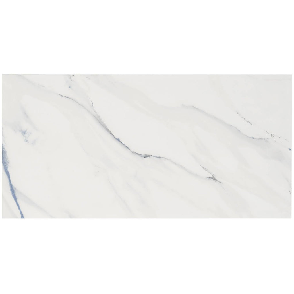 Polished Porcelain Floor and Wall Tile 12 in. x 24 in. 6-Piece G545823