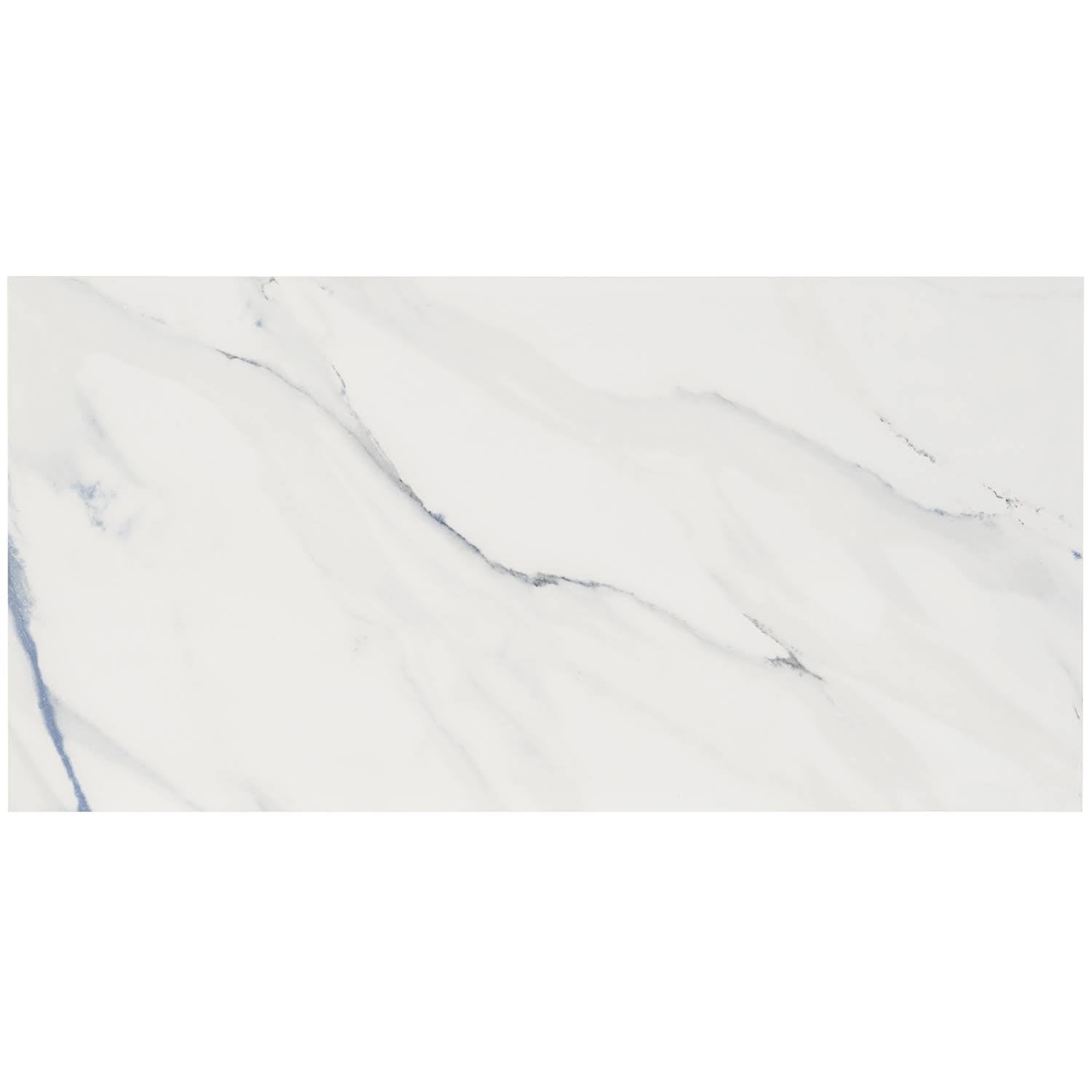 Polished Porcelain Floor and Wall Tile 12 in. x 24 in. 6-Piece G545823