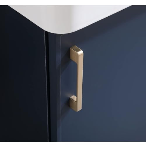 Blue 1 Door 1 Drawer Bathroom Vanity with Sink N396