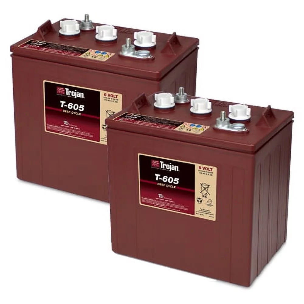 6 Volt 210 AH Deep Cycle Battery 2 Pack I59274