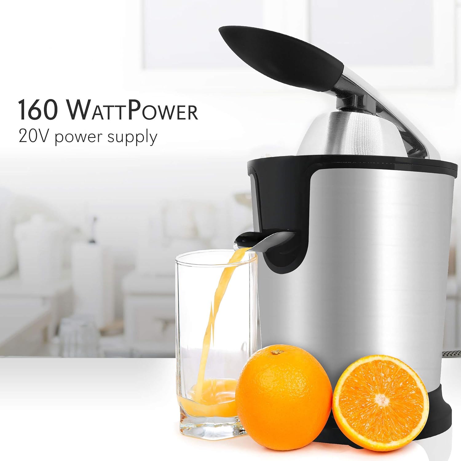 Stainless Steel Electric Juicer W1456
