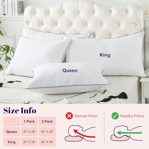 King Size 2 Pack Goose Feather and Down Bed Pillow, 20x36 Inches V380