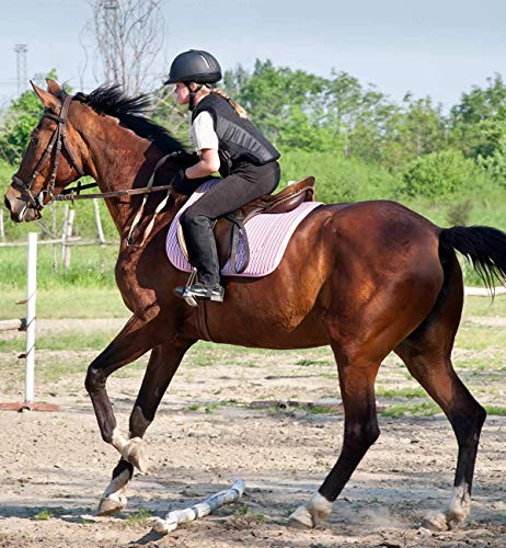 Kids Horse Riding Gloves U447509