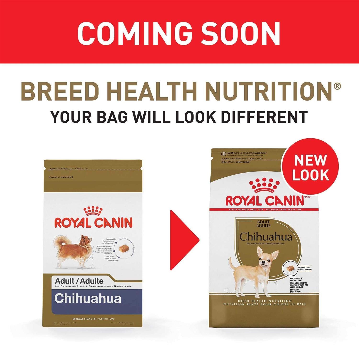 Chihuahua Adult Dry Dog Food L839308