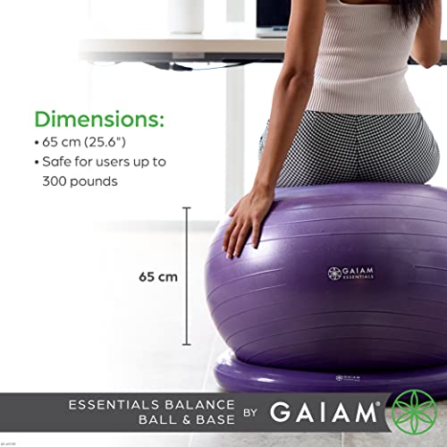 65cm Exercise Ball with Inflatable Ring Base A65410